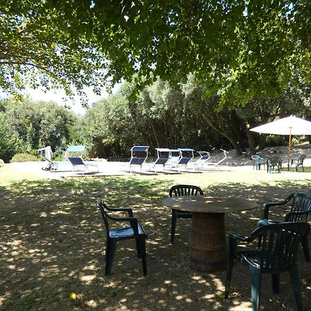 Scappo In Umbria, Casale Monti Βίλα Montoro  Εξωτερικό φωτογραφία
