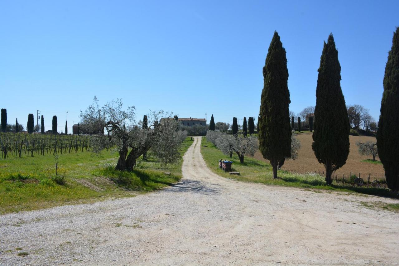 Scappo In Umbria, Casale Monti Βίλα Montoro  Εξωτερικό φωτογραφία